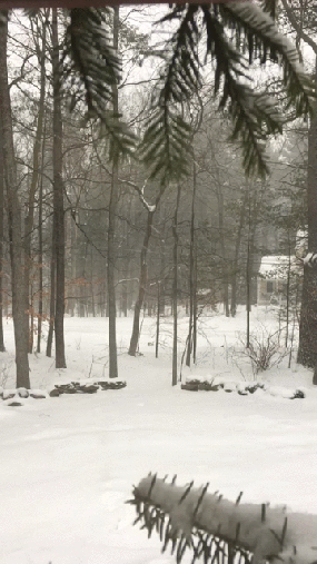 58E267DF-932A-4CCB-B9BC-D98EA252DAF7