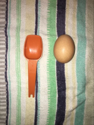 DD0B7735-4A89-42C5-81A4-732B91E1F4BF