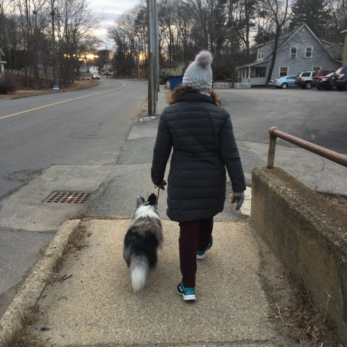 FDCCCFA1-DF84-4419-9CCA-B332C4CCF0AD