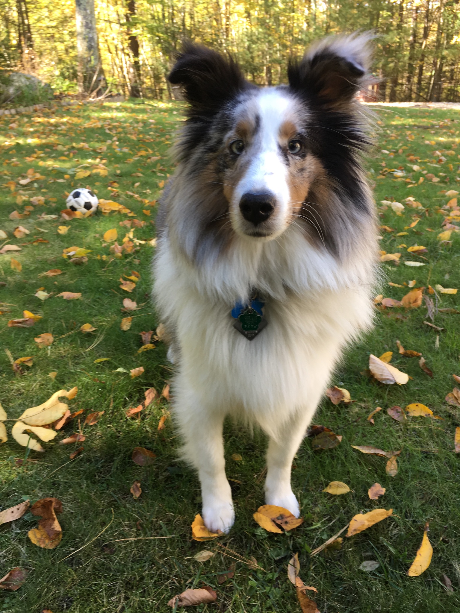 8cb626a0-dec1-4e6d-be41-679aa86ebee3