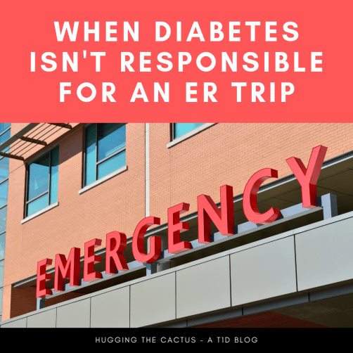 HUGGING THE CACTUS - A T1D BLOG