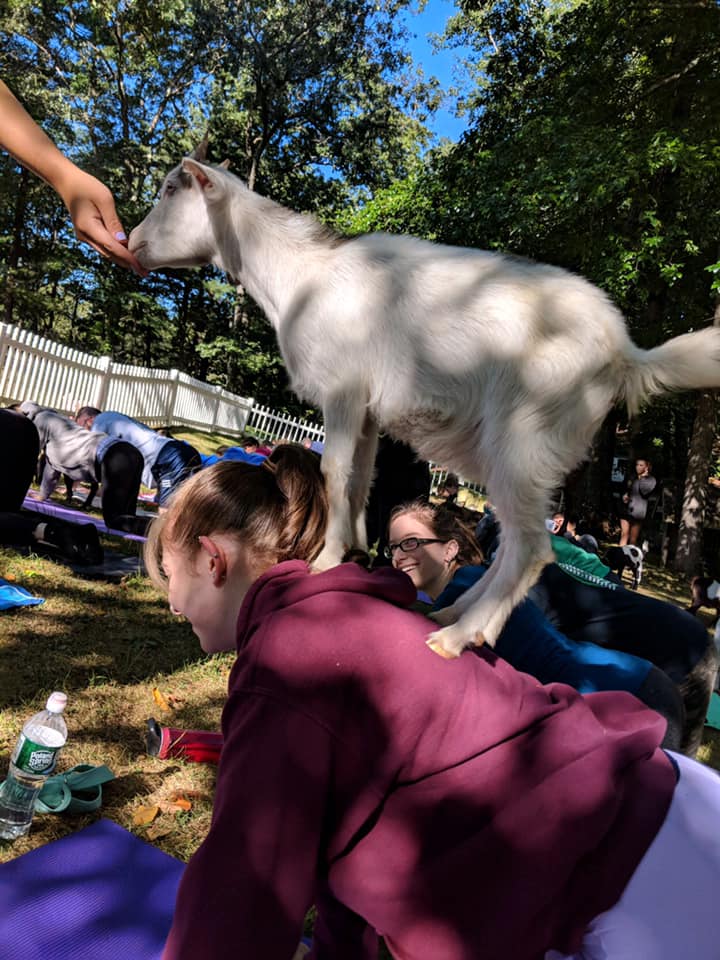 69602409_10157635237561823_7234210886364168192_n