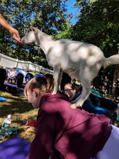 69602409_10157635237561823_7234210886364168192_n