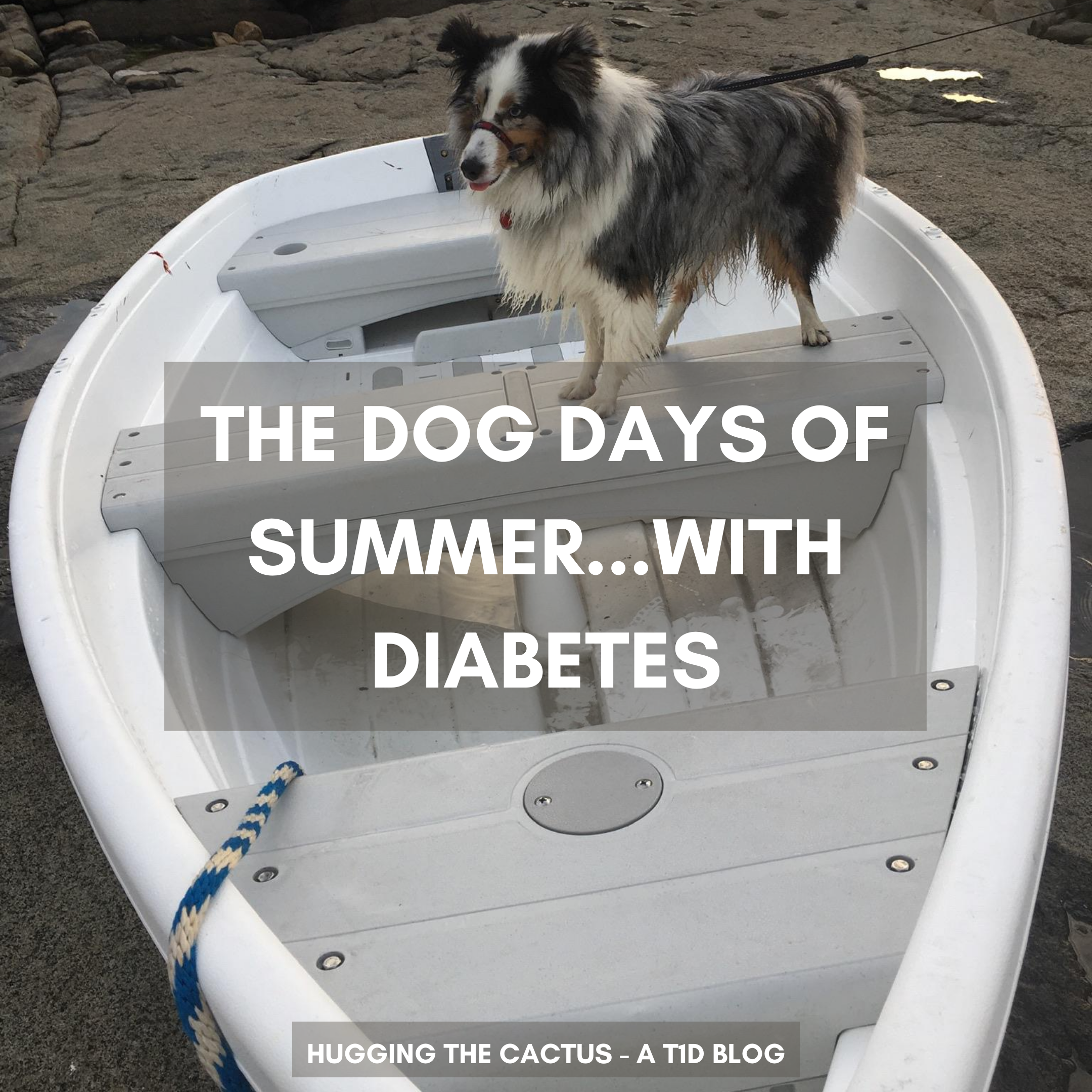 The Dog Days of Summer...with Diabetes