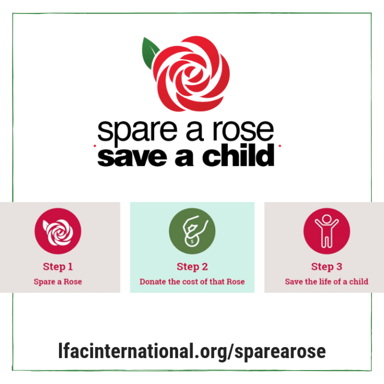 This Valentine’s Day, Spare a Rose and Save a Child – Hugging the Cactus